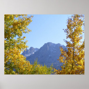 Poster As canvas da natureza