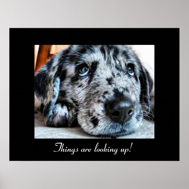 Poster As coisas estão olhando para cima! (Frente)