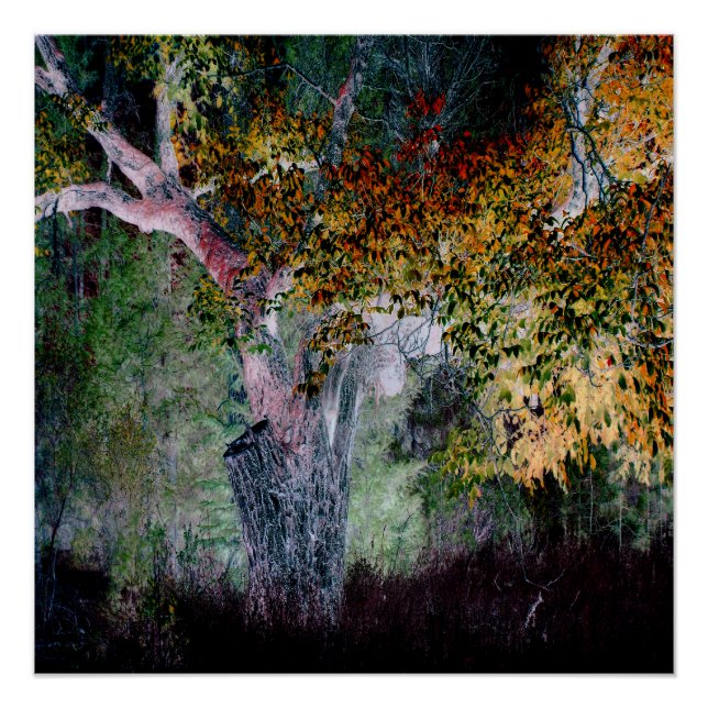 Póster As Cores da Queda... (Frente)