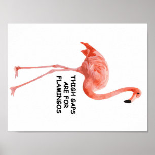 Póster As diferenças da coxa são para flamingos