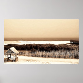 Póster As florestas selvagens