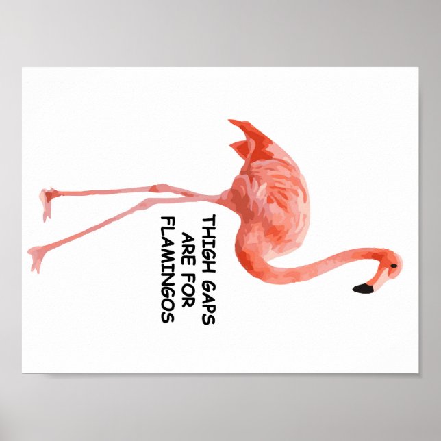Póster As Lacunas Das Coxas São Para Os Flamingos (Frente)