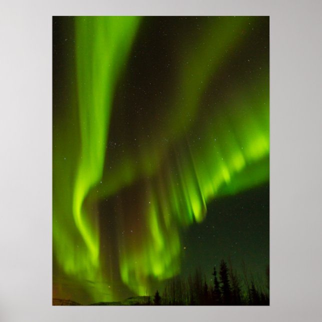 Poster As Luzes do Norte | Fairbanks, Alasca (Frente)