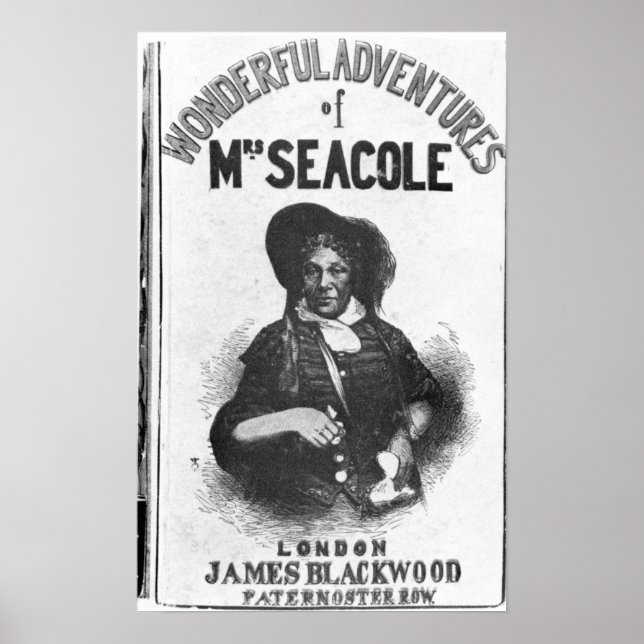 Poster As maravilhosas Aventuras da Sra. Seacole' (Frente)