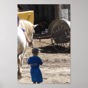Póster As Meninas Amish e seu Cavalo