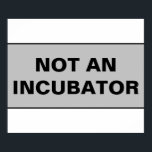 Poster As mulheres não são pessoas<br><div class="desc">Não é uma incubadora. A simples mensagem de que as pessoas com úteros não são incubadoras. Podemos ter sido nasceres de uma incubadora, mas não somos incubadoras e não somos apenas incubadoras. Pessoas que podem engravidar são pessoas, não incubadoras. Codificar Roe deveria ser o chão dos direitos de saúde das...</div>