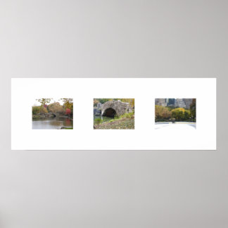 Póster As Pontes Em Cor