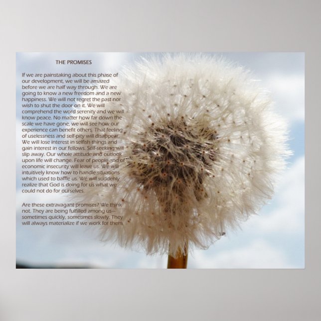 Póster As promessas (Frente)