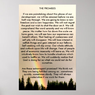 Póster As promessas