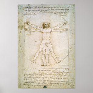 Póster As proporções da figura humana