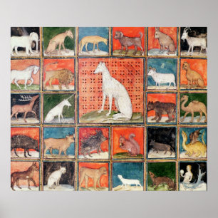 Póster As propriedades dos animais: Os mamíferos