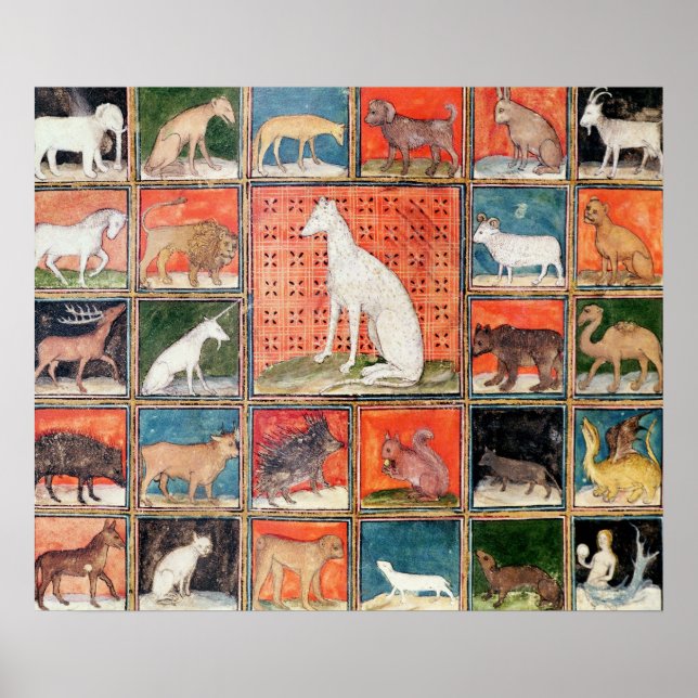Póster As Propriedades dos Animais: Os Mamíferos (Frente)