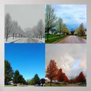 PÓSTER AS QUATRO ESTAÇÕES