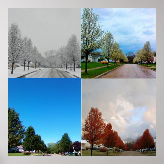 PÓSTER AS QUATRO ESTAÇÕES (Frente)