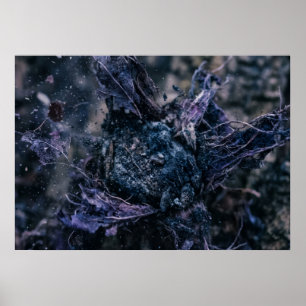 Poster As Raízes Noturnas da Arte de Parede do Bosque Esc