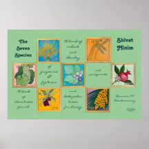 As Sete Espécies ou o Minim Shivat