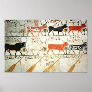 Póster As sete vacas celestiais e o touro sagrado