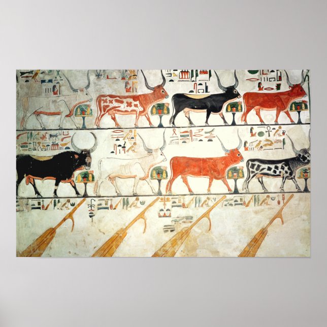 Póster As sete vacas celestiais e o touro sagrado (Frente)