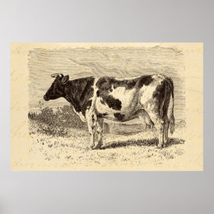 Póster As vacas retros da grande vaca holandesa dos 1800s