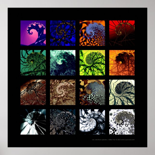 Poster As variações espirais (Frente)