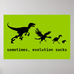 Póster Às vezes, a evolução suga