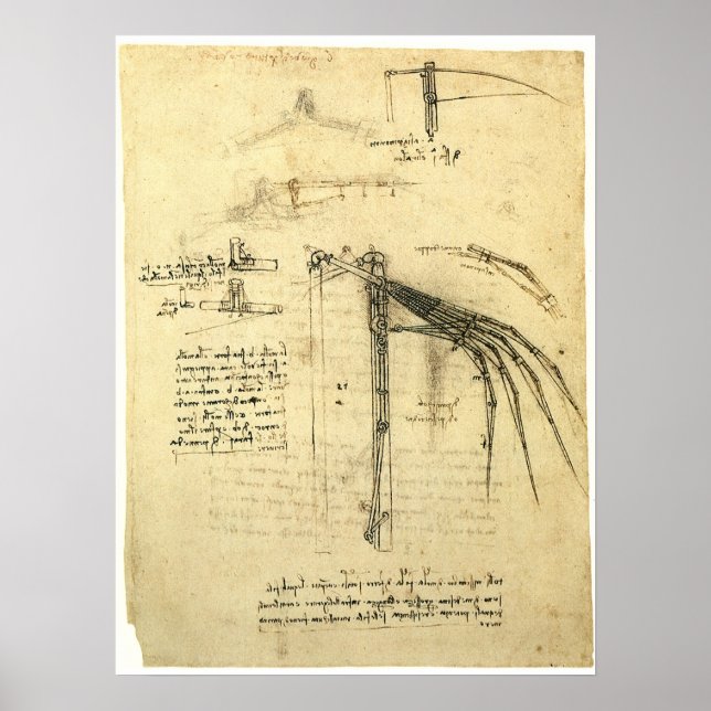 Póster Asa de Esboço de Máquina Voadora de Leonardo da Vi (Frente)