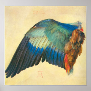 Póster Asa de um Blaurake por Albrecht Durer