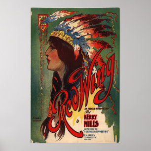 Poster Asa vermelha