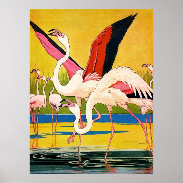 Póster asas (Frente)