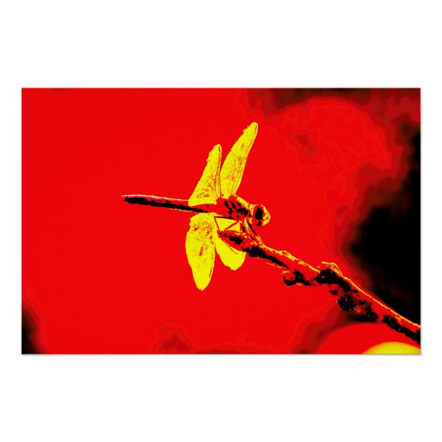 Póster Asas Amarelas (Frente)