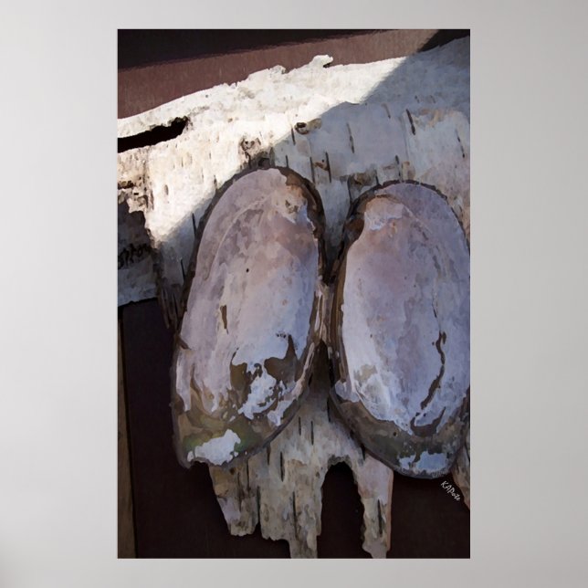 Póster Asas Clamshell (Frente)