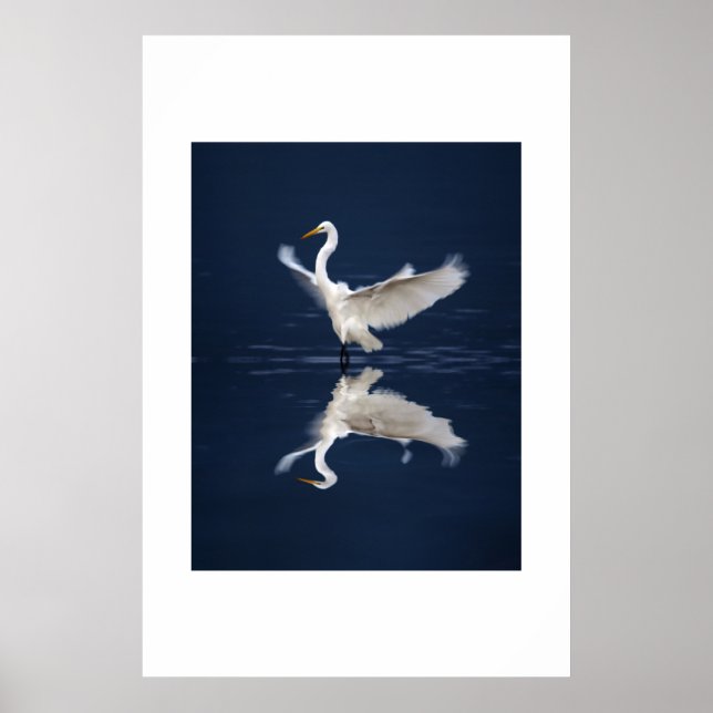 Poster Asas de rendas em azul (Frente)