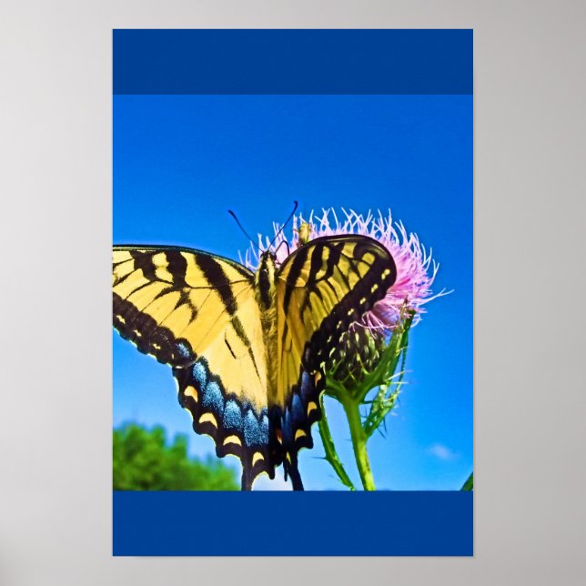 Poster Asas do Amor (Frente)