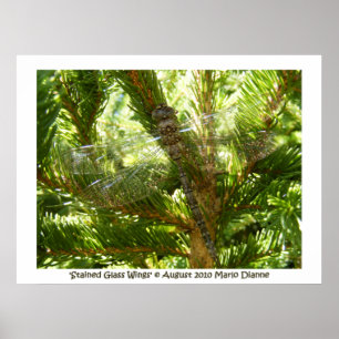 Póster 'Asas do vitral