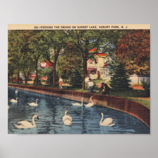 Poster Asbury Park, Nova Jersey, Alimentando os Cisnes, 1 (Frente)