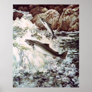 poster ascendente nadador salmon
