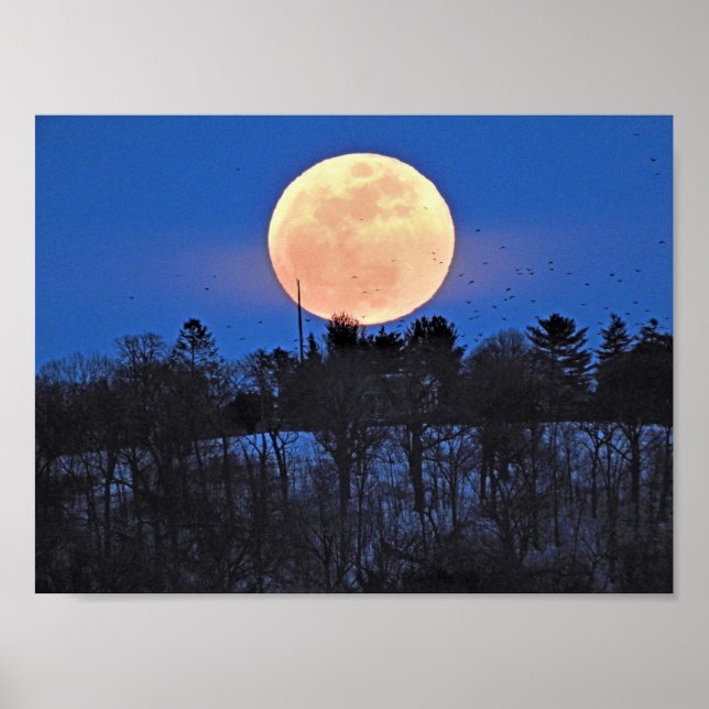 Poster Ascensão da Lua da Neve (Frente)
