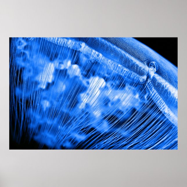 Poster Ascensão de Lua Azul (Frente)