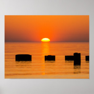 Poster Ascensão Laranja