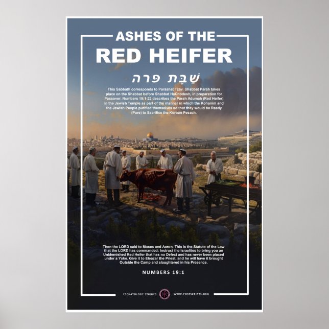 Poster Ashes of the Red Heifer (Frente)