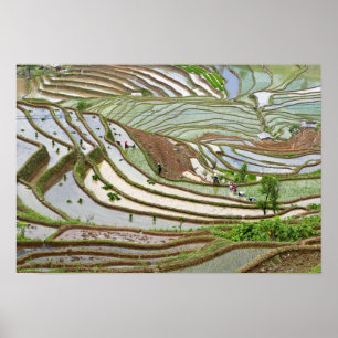 Poster Ásia, China, Yunnan, Jinping. Povos Yi nativos