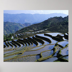 Póster Ásia, China, Yunnan, Yuanyang. Áspero