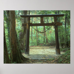 Póster Asia, Japan, Kagoshima, Yakushima, Mountain