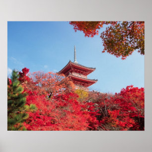 Póster Ásia, Japão, Quioto. Cor de Outono