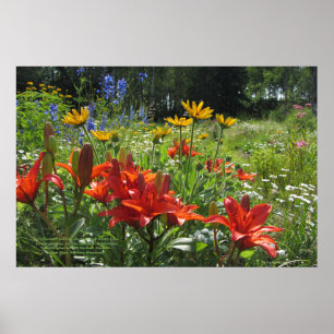 Poster asiático alaranjado queimado verão dos