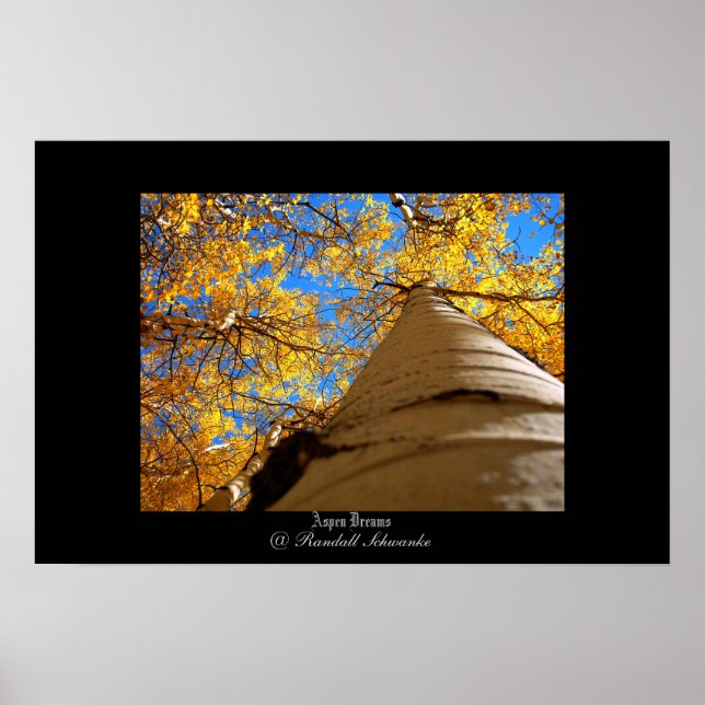 Poster Aspen Dreams (Frente)