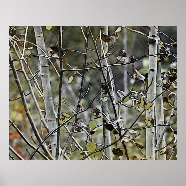 Póster Aspen Forest (Frente)