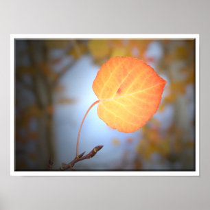 Póster Aspen Leaf aponta o caminho