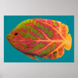Póster Aspen Peixe Tropical 1