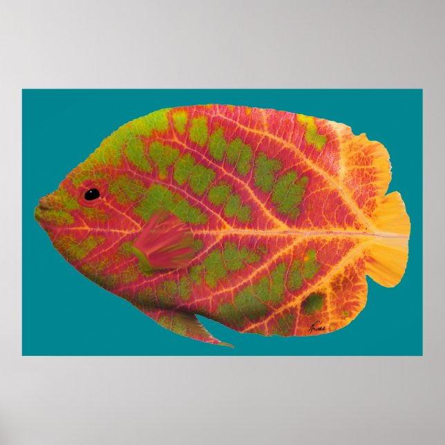 Póster Aspen Peixe Tropical 1 (Frente)